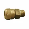 Cambridge Brass Iron Pipe Size LF Brass Compression By MPT Adapter Waterworks Products