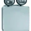 Cleanflow NEMA 4X Wet Location Emergency Light