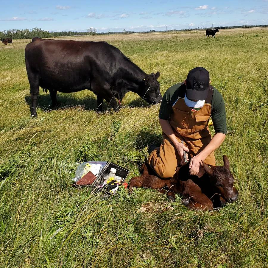 Tough Duck WB04 Deluxe Unlined Bib Overall | S-5XL 7 Tough Duck WB04 Deluxe Unlined Bib Overall | S-5XL